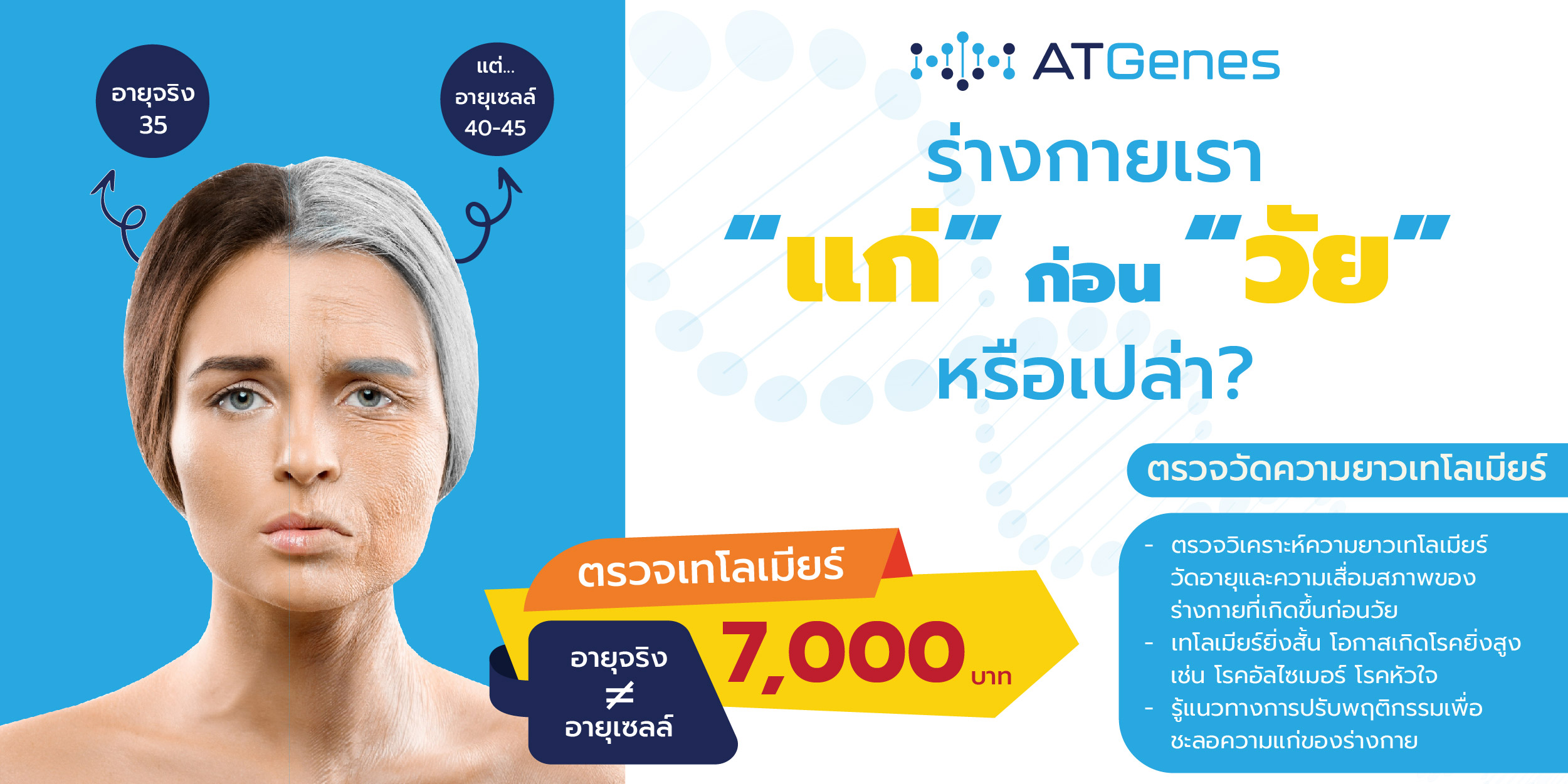 1200x600-06(1)